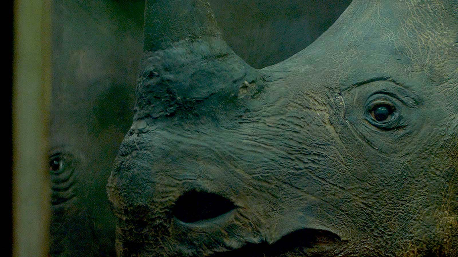LITTLE, BIG, AND FAR a Film by Jem Cohen | Little Magnet Films, Vienna