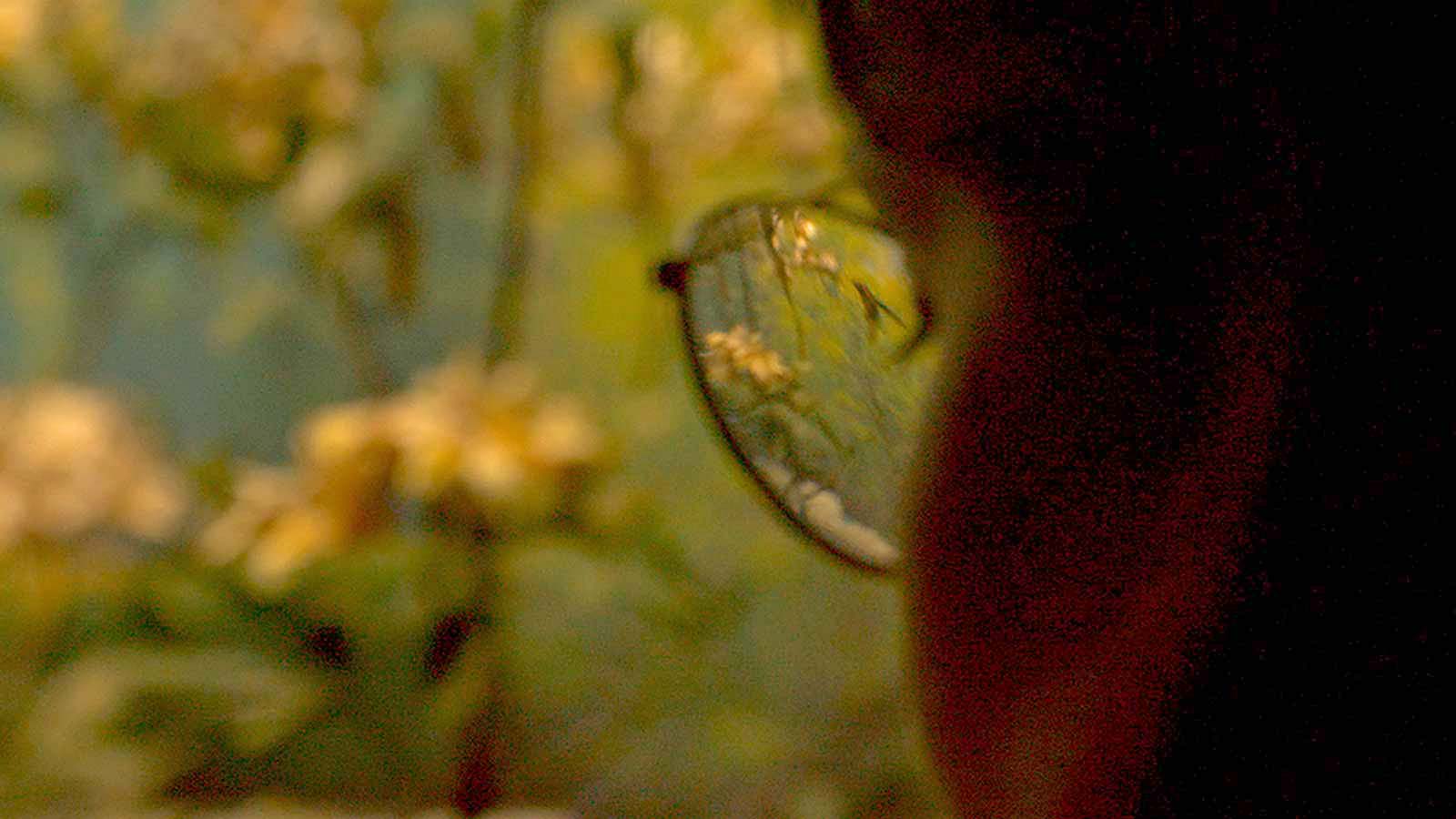 LITTLE, BIG, AND FAR a Film by Jem Cohen | Little Magnet Films, Vienna